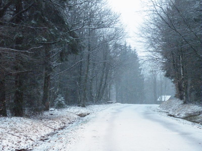 Fichier:Haut Folin 2.jpg