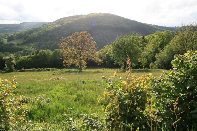 Fichier:Haut Folin.jpg