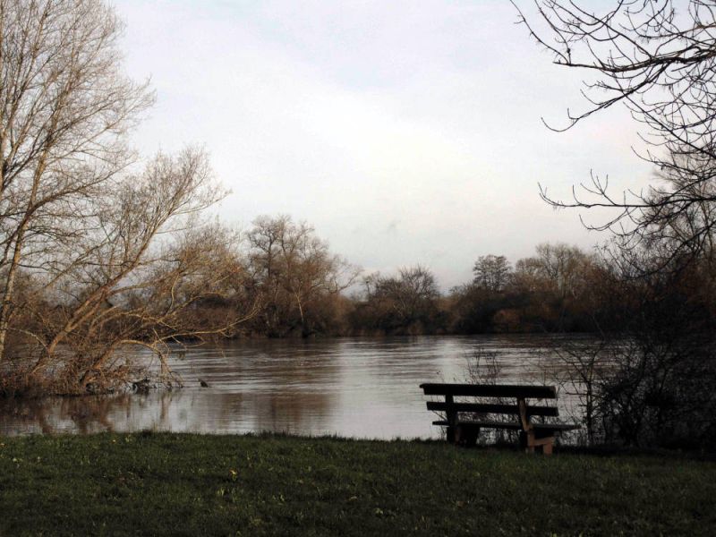 Fichier:Sougy sur Loire Tinte Loire.jpg