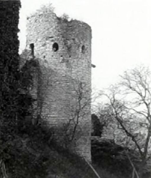Fichier:Luthenay Uxeloup château de Rozemont tour.jpg