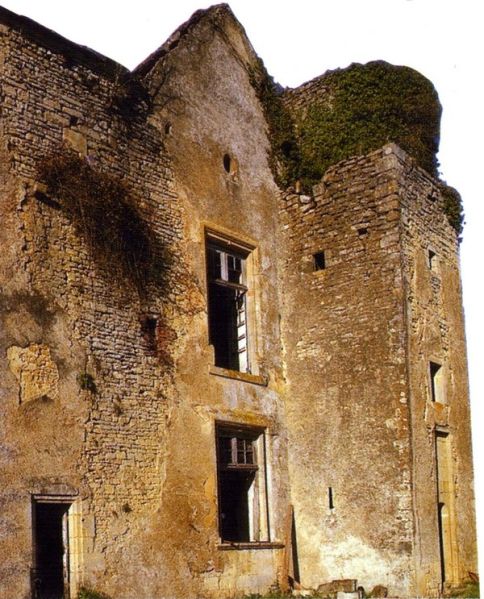 Fichier:Champlemy château.jpg