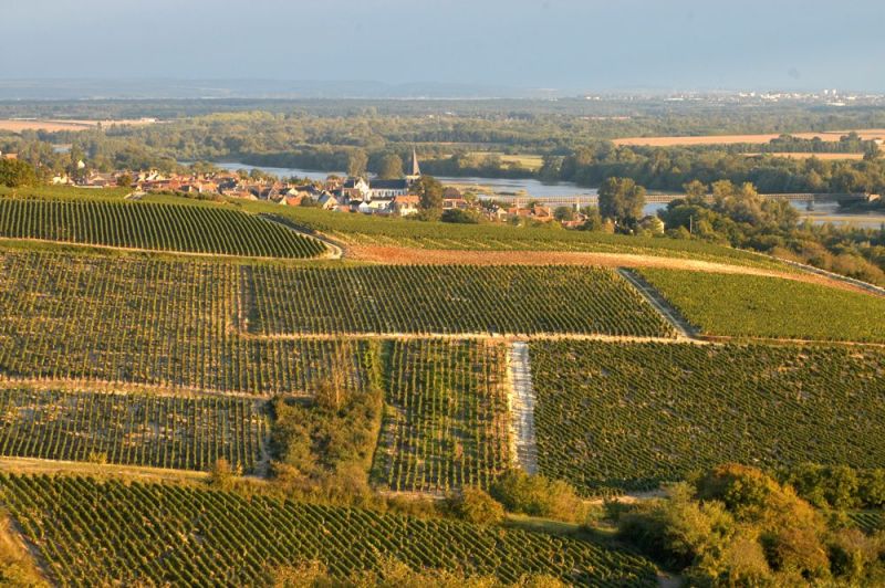 Fichier:Vignoble Pouilly.jpg