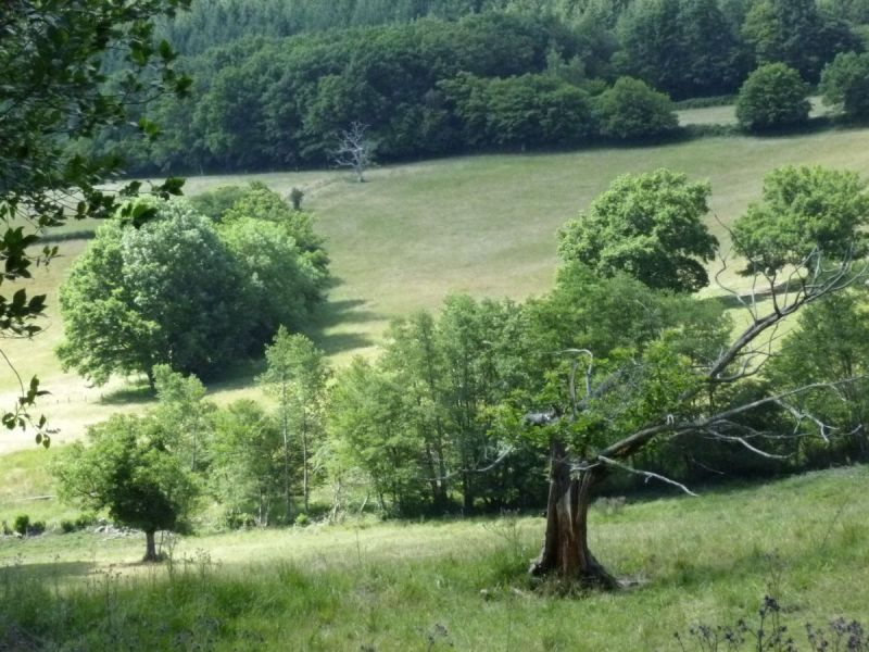 Fichier:Les Fraichots 2010.jpg