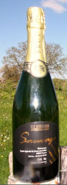 Fichier:Mousseux Sauvage brut.jpg