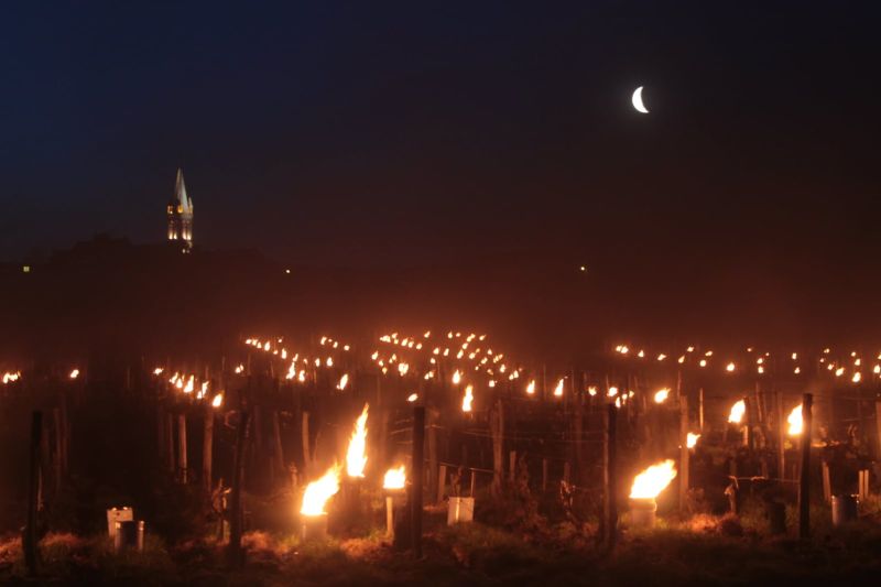 Fichier:Pouilly sur Loire bougies.jpg